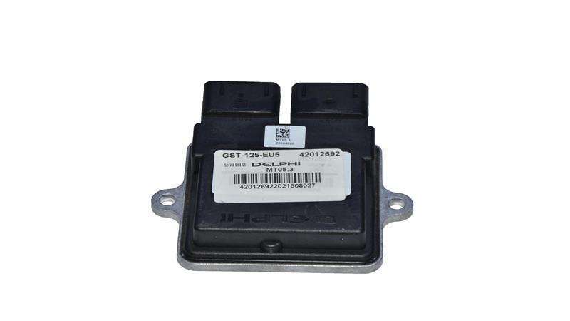 BEYİN (DELPHI) (WILDCAT)